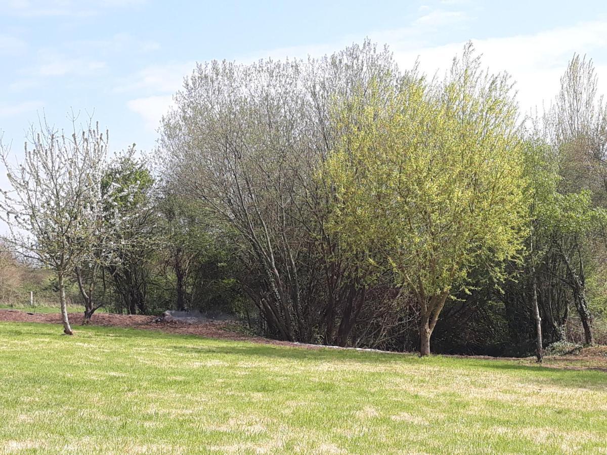 Le Clos Des Sources Isigny-sur-Mer Exterior photo